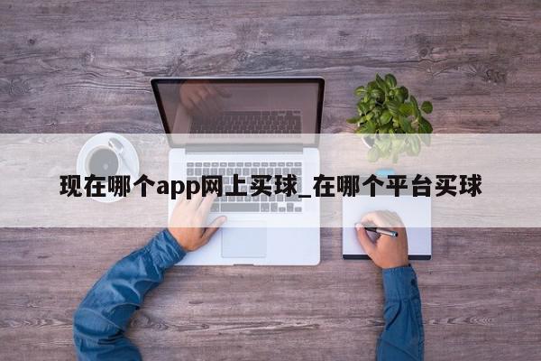 现在哪个app网上买球_在哪个平台买球